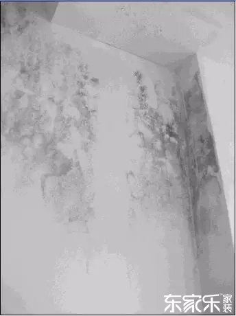 墻面發(fā)霉發(fā)黑怎么辦？墻面已經(jīng)出現(xiàn)霉斑時怎么做？