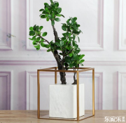 室內(nèi)裝修有哪些裝修風(fēng)格？簡述各類裝修風(fēng)格優(yōu)缺點